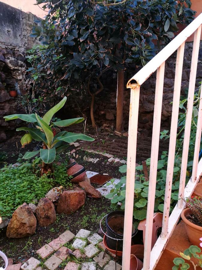 לאס פאלמס דה גראן קנאריה Residencia Los Conejos - Bike & Motorbike מראה חיצוני תמונה