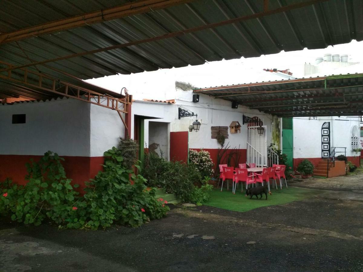 לאס פאלמס דה גראן קנאריה Residencia Los Conejos - Bike & Motorbike מראה חיצוני תמונה